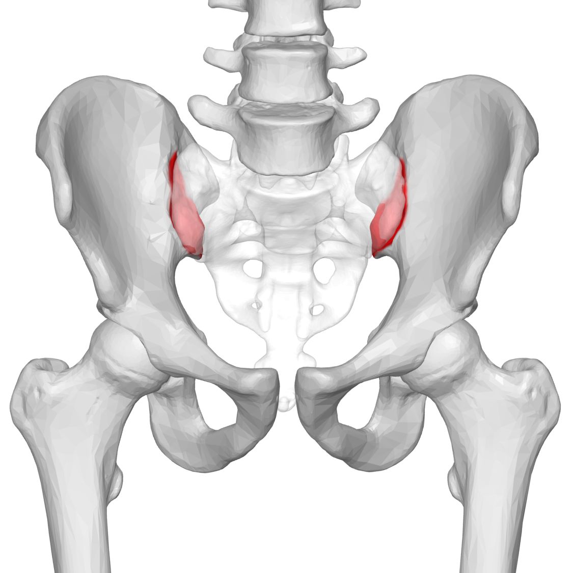 Pelvic Girdle Pain